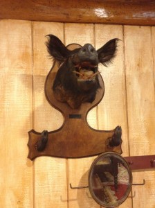 Country decor. Also hanging above my bed.