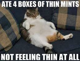 Thin mint cat