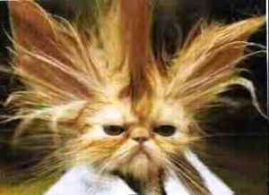 What I looked like after the live auction.