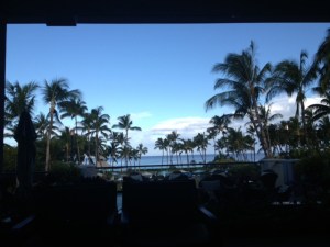 Hawaiian View
